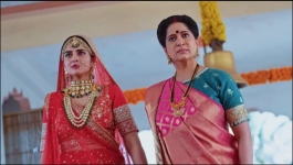 Apollena - 25th January 2025